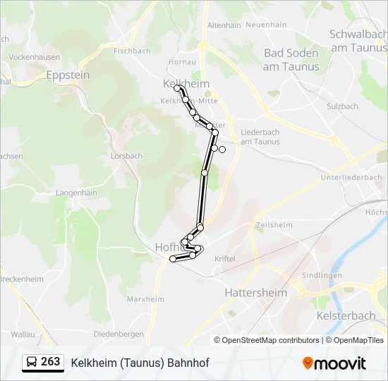 263 Bus Line Map