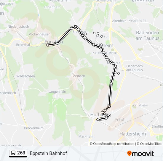 263 Bus Line Map