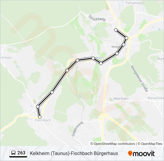 263 Bus Line Map