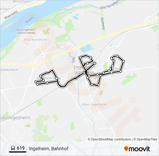 619 Bus Line Map