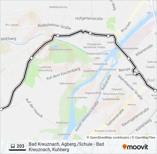 203 Bus Line Map