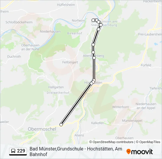 229 Bus Line Map