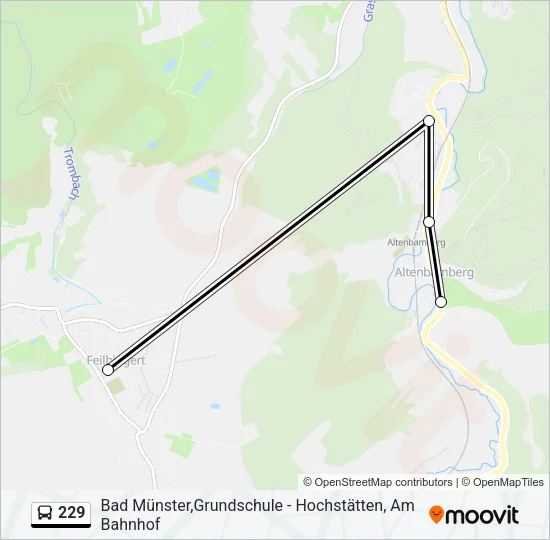 229 Bus Line Map
