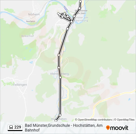 229 Bus Line Map