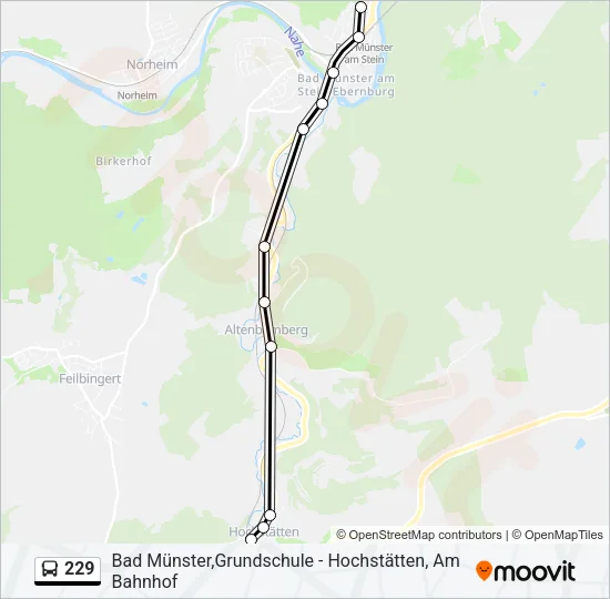 229 Bus Line Map