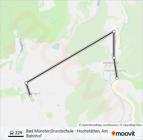 229 Bus Line Map