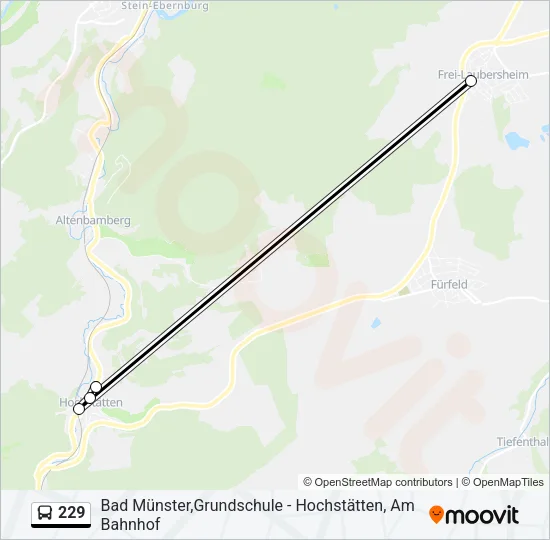 229 Bus Line Map
