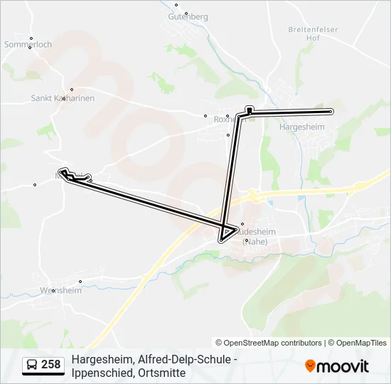 258 Bus Line Map