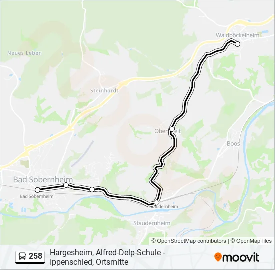 258 Bus Line Map