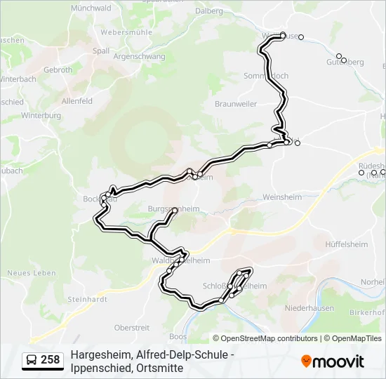 258 Bus Line Map