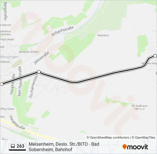 263 Bus Line Map