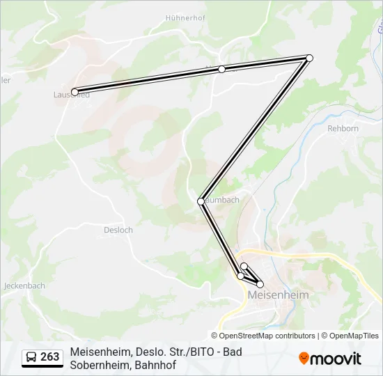 263 Bus Line Map