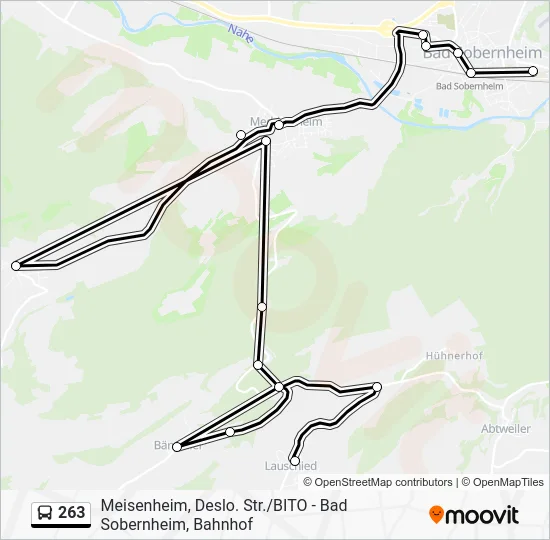 Автобус 263: карта маршрута