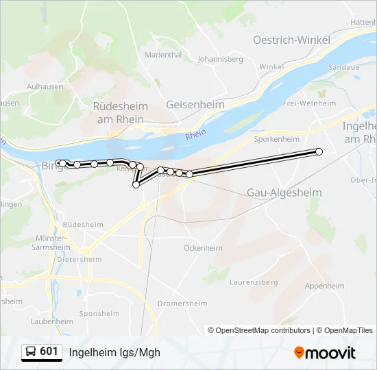 601 Bus Line Map
