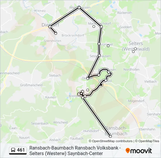 461 Bus Line Map