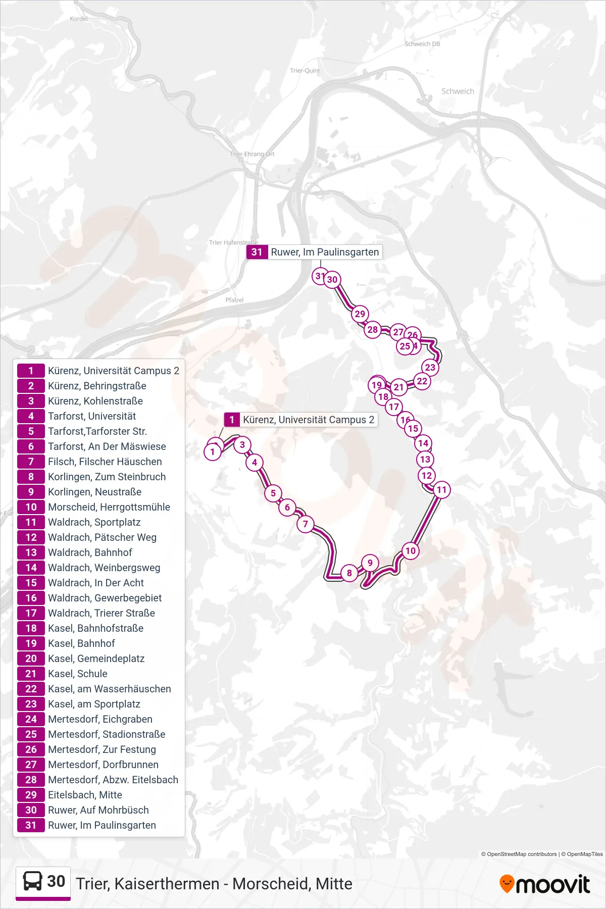 30 bus Line (Ruwer, Im Paulinsgarten) route and stops on a map