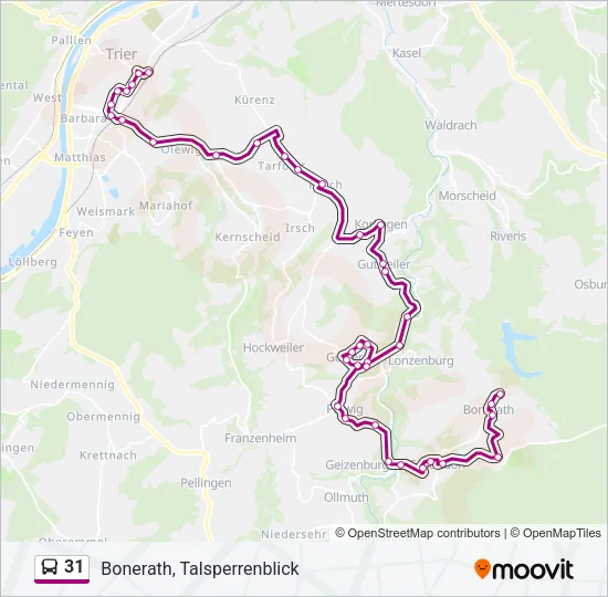 31 Bus Line Map