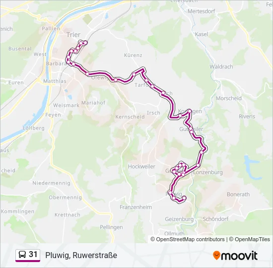 31 Bus Line Map