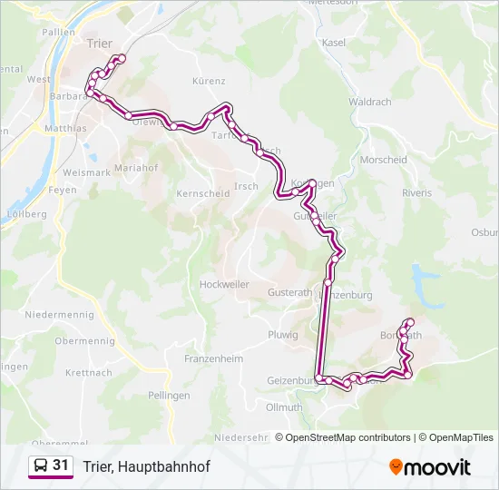 31 Bus Line Map