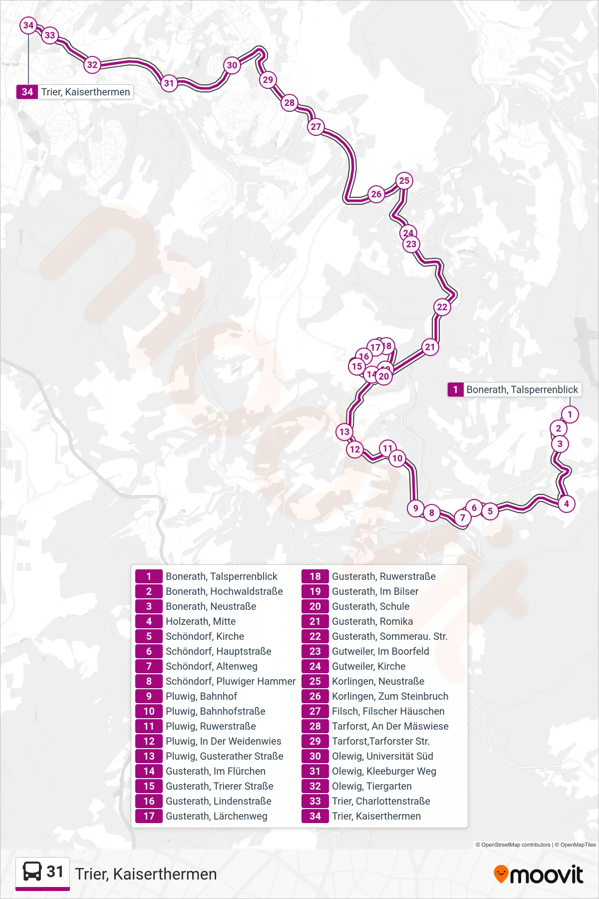 31 bus Line (Trier, Kaiserthermen) route and stops on a map
