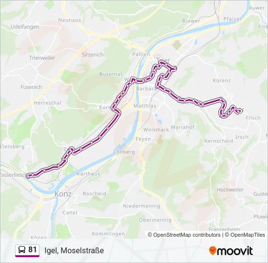 81 Bus Line Map