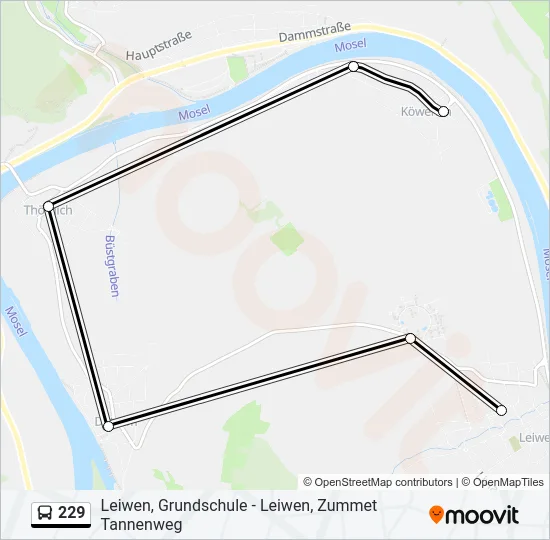 229 Bus Line Map