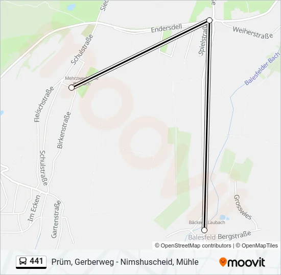 441 Bus Line Map