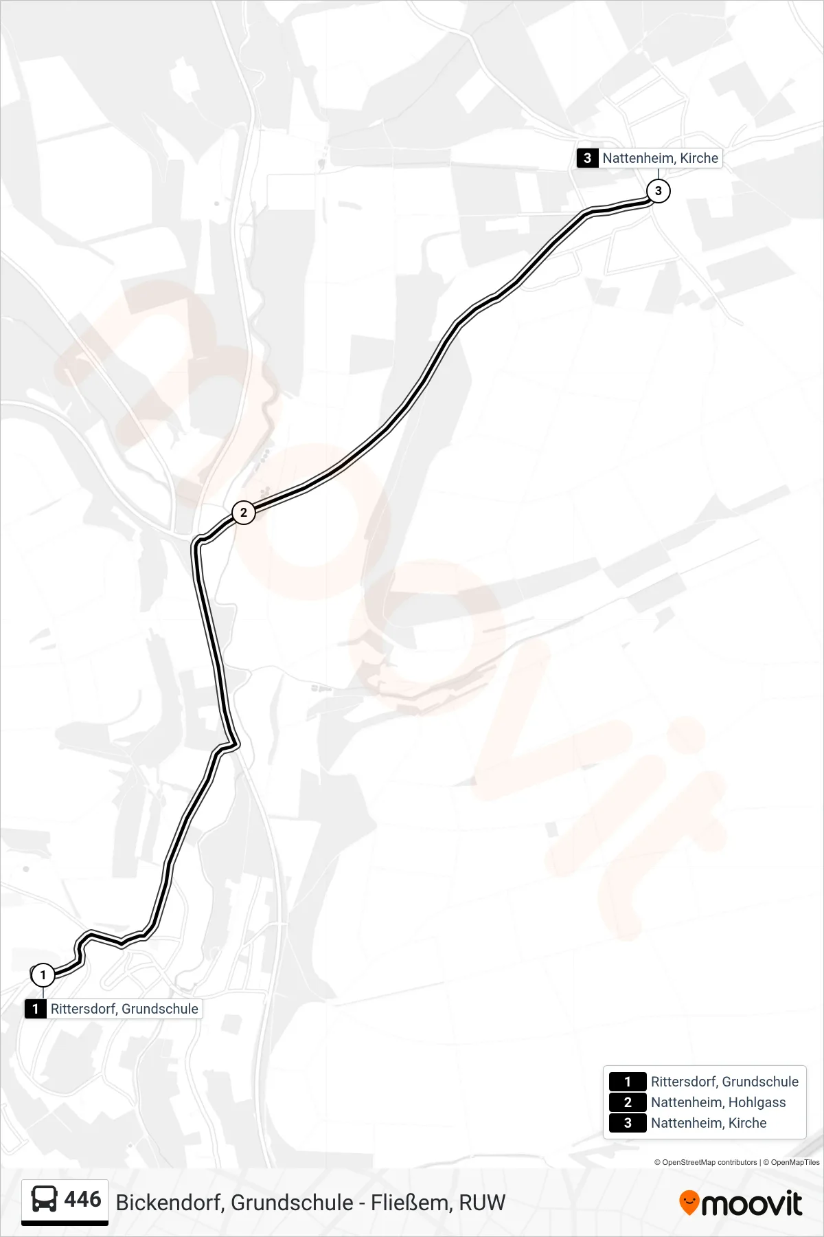 446 bus Line (Nattenheim, Kirche) route and stops on a map