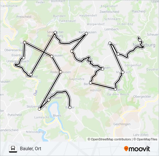 491 RUFBUS Bus Line Map