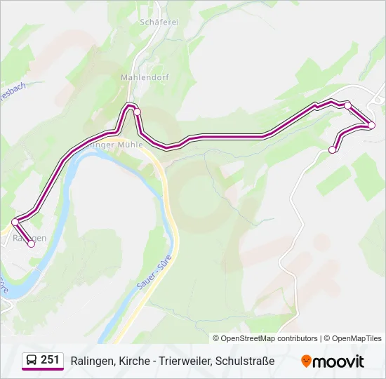251 Bus Line Map