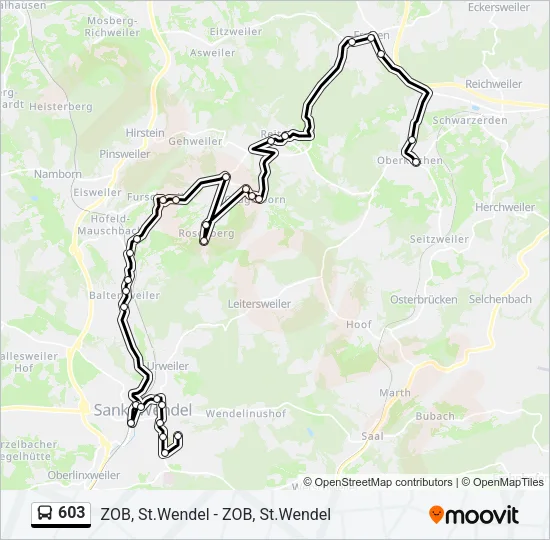 603 Bus Line Map