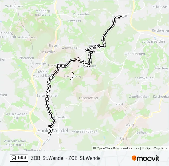 603 Bus Line Map