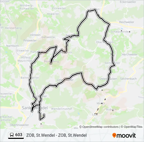 603 Bus Line Map