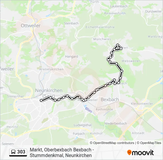 Автобус 303: карта маршрута