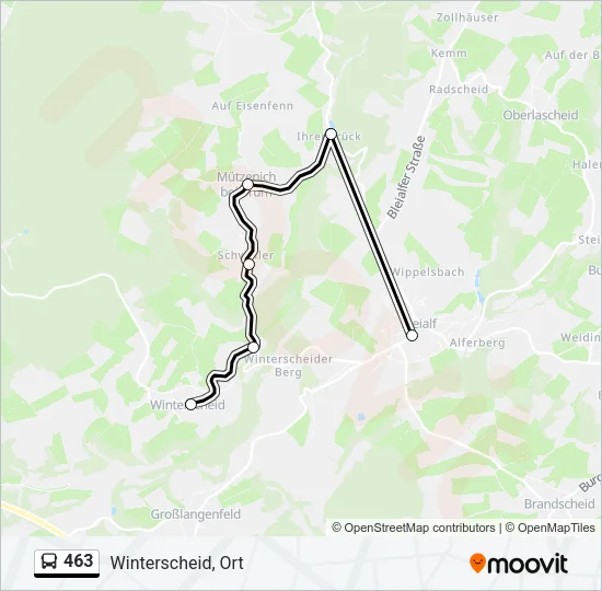463 Bus Line Map