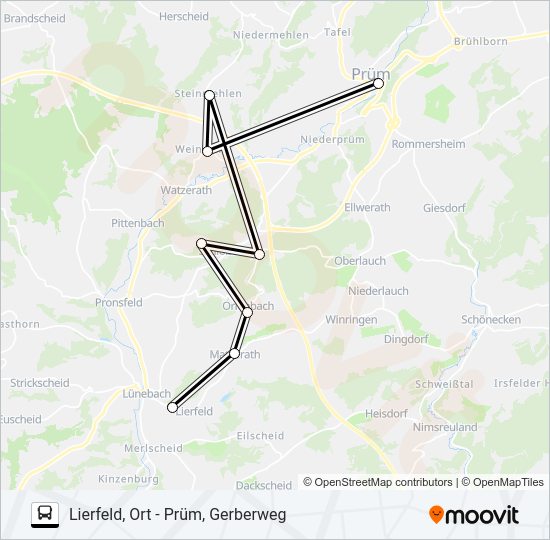 481 RUFBUS Bus Line Map