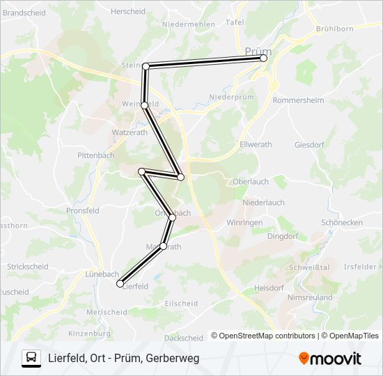 481 RUFBUS Bus Line Map
