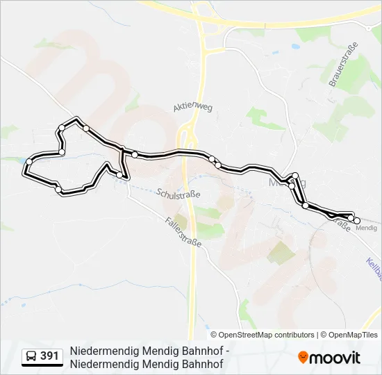391 Bus Line Map