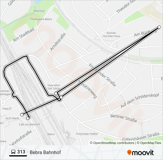 313 Bus Line Map