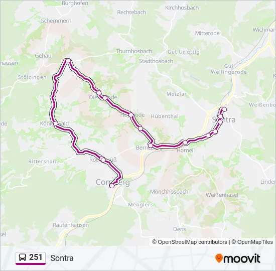251 Bus Line Map
