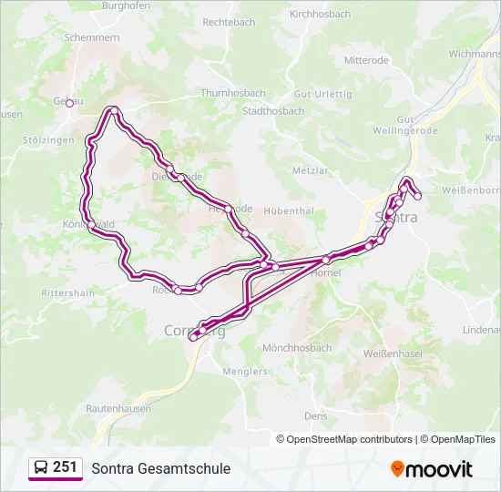 251 Bus Line Map