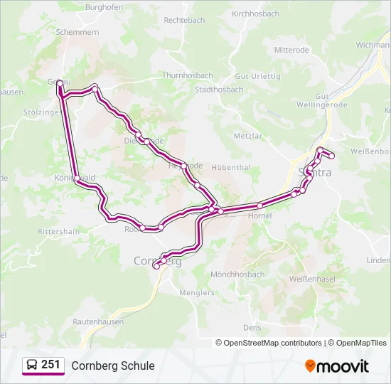 251 Bus Line Map