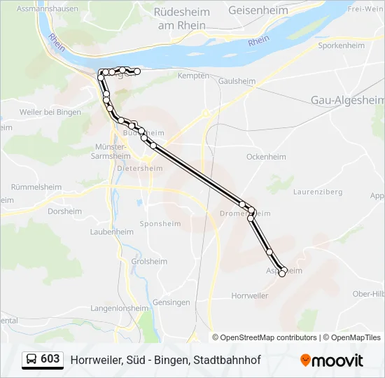 603 Bus Line Map