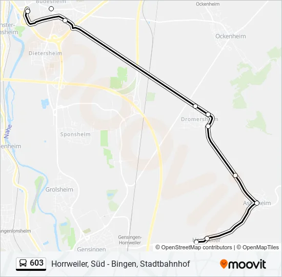 603 Bus Line Map