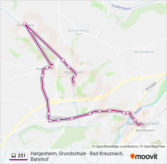 251 Bus Line Map