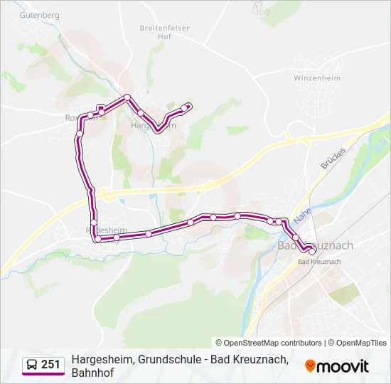 251 Bus Line Map