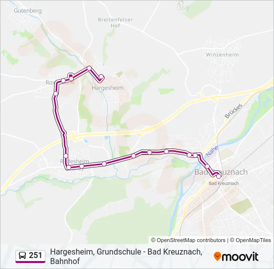 251 Bus Line Map