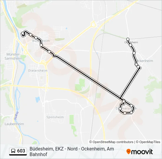 603 Bus Line Map