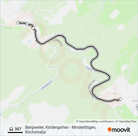 307 Bus Line Map