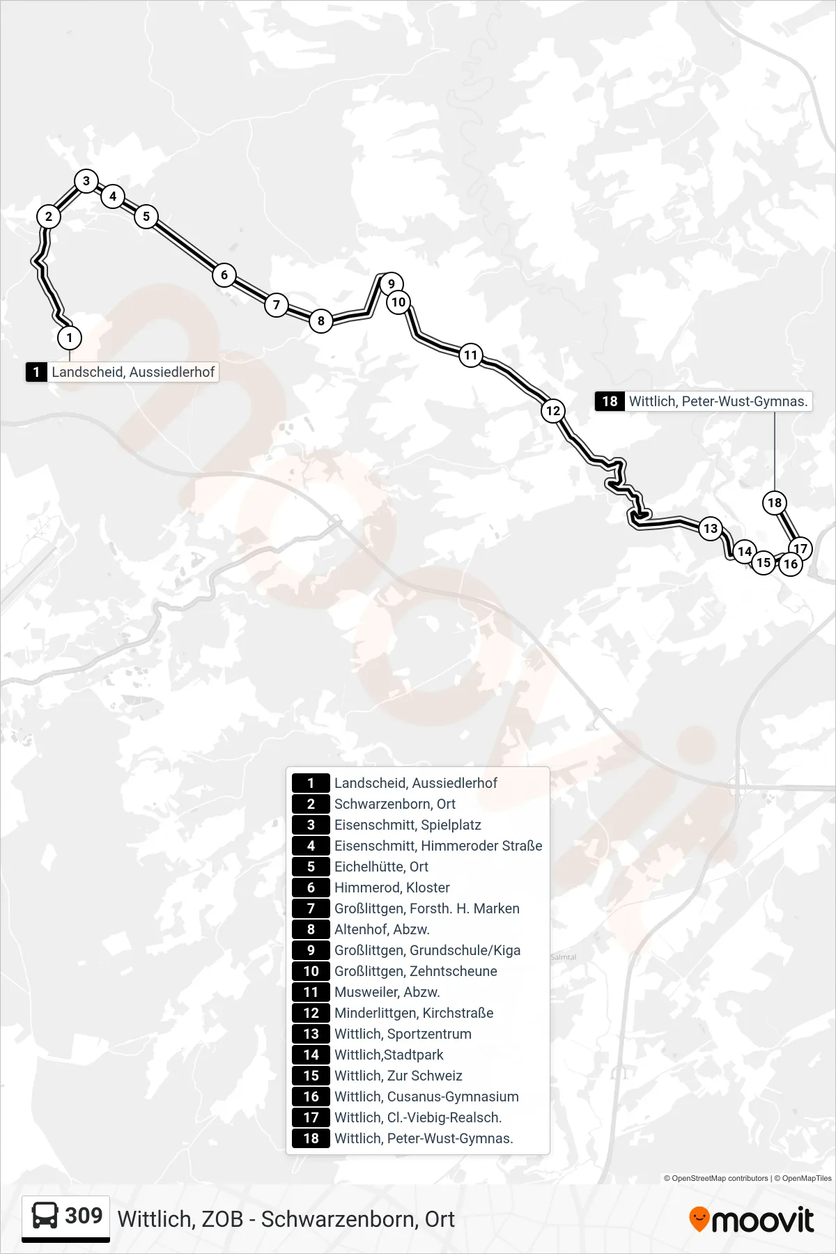 309 bus Line (Wittlich, Peter-Wust-Gymnas.) route and stops on a map